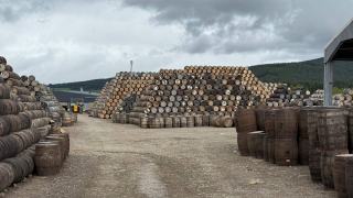 Single malt : définition, tourbe et mention d'âge