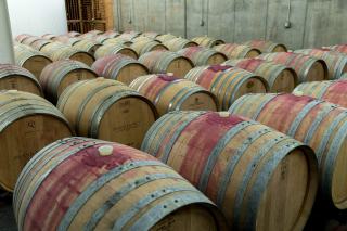 Fût de vin : ce que le chêne change au vin