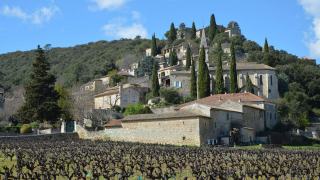 Côtes du Rhône méridional et septentrional comparés